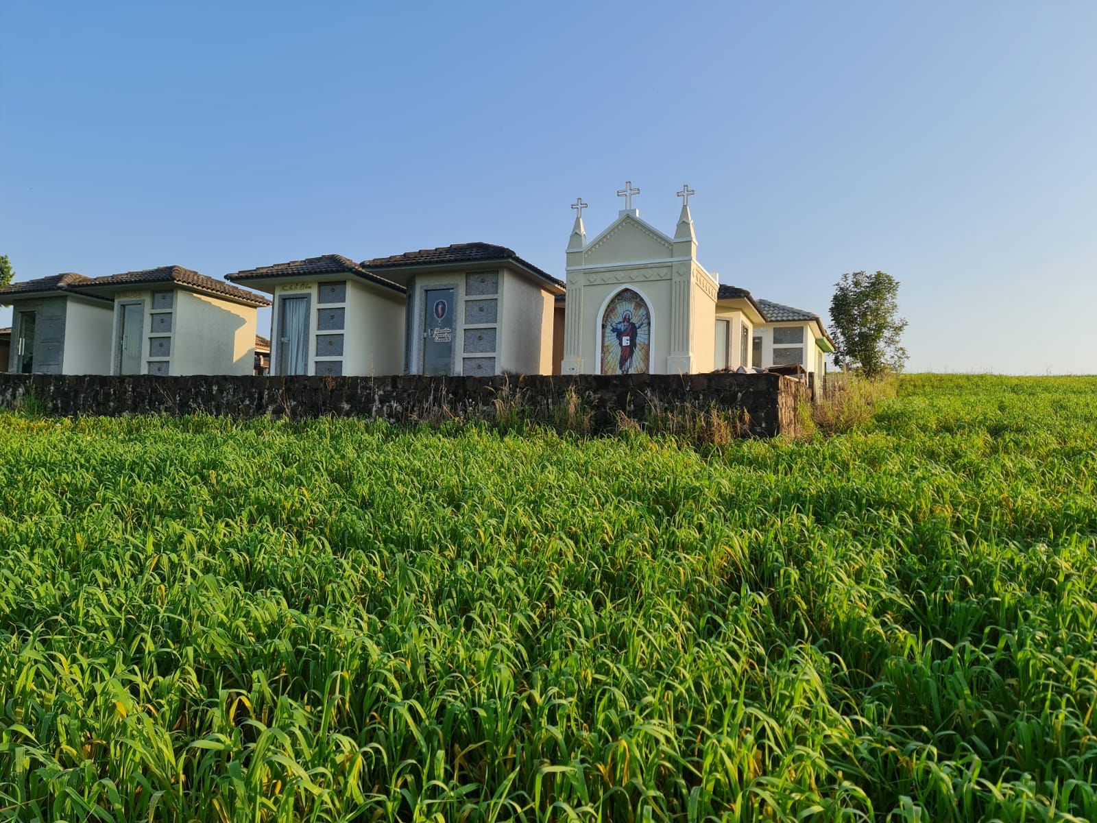 Foto da cripta 3